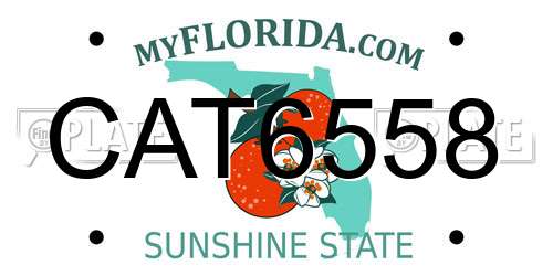 CAT6558 Florida License Plate