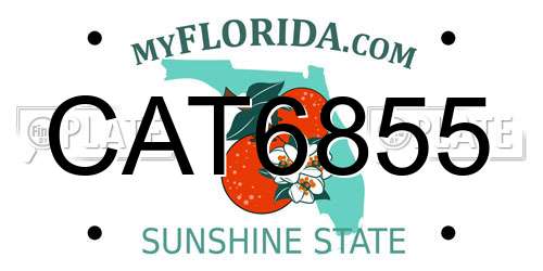 CAT6855 Florida License Plate