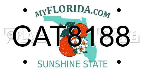 CAT8188 Florida License Plate