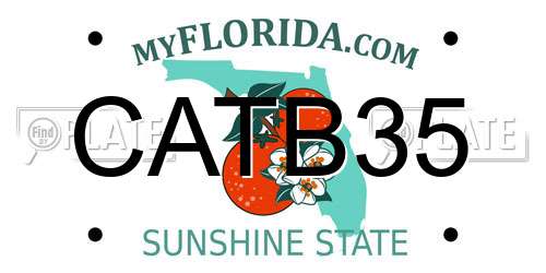 CATB35 Florida License Plate