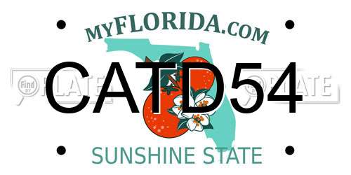 CATD54 Florida License Plate