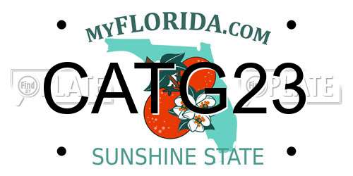 CATG23 Florida License Plate