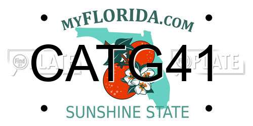CATG41 Florida License Plate