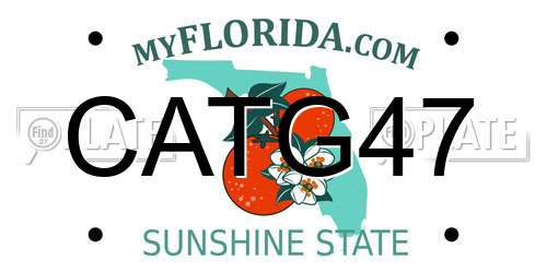 CATG47 Florida License Plate