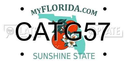 CATG57 Florida License Plate
