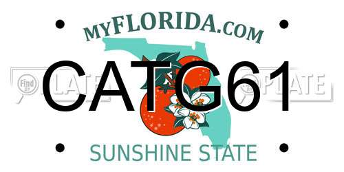 CATG61 Florida License Plate