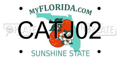 CATJ02 Florida License Plate
