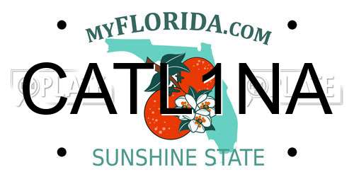 CATL1NA Florida License Plate