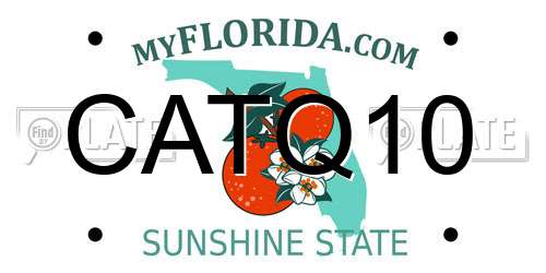 CATQ10 Florida License Plate