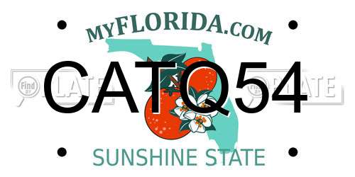 CATQ54 Florida License Plate