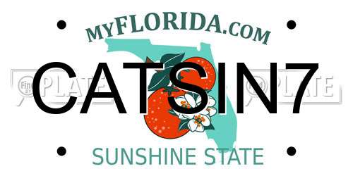 CATSIN7 Florida License Plate