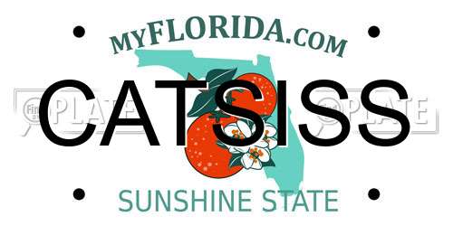 CATSISS Florida License Plate
