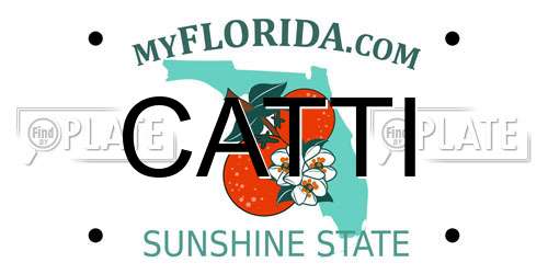 CATTI Florida License Plate