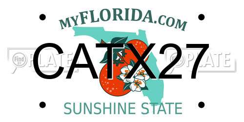 CATX27 Florida License Plate