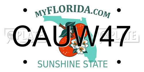 CAUW47 Florida License Plate