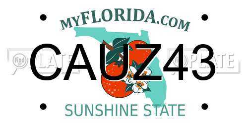 CAUZ43 Florida License Plate