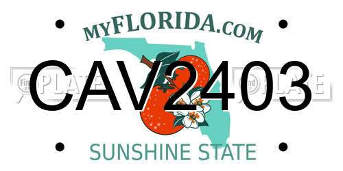 CAV2403 Florida License Plate