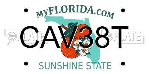 CAV38T Florida License Plate