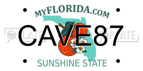 CAVE87 Florida License Plate