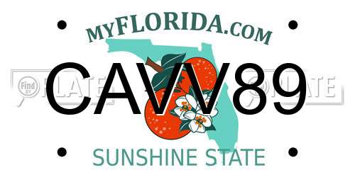 CAVV89 Florida License Plate