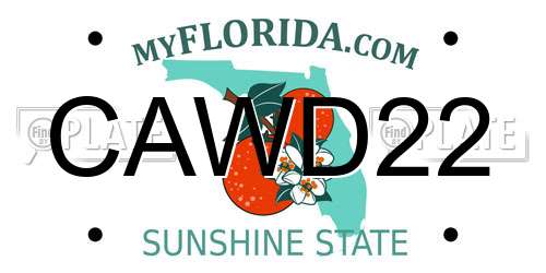 CAWD22 Florida License Plate