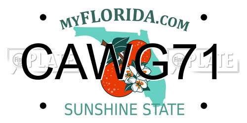 CAWG71 Florida License Plate