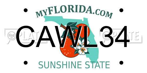 CAWL34 Florida License Plate