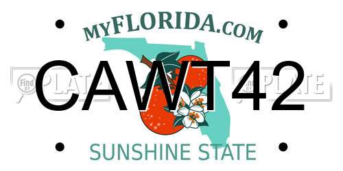 CAWT42 Florida License Plate