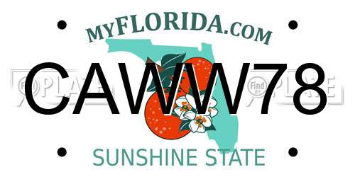 CAWW78 Florida License Plate
