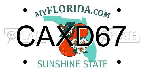 CAXD67 Florida License Plate