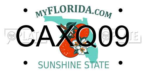 CAXQ09 Florida License Plate
