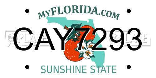 CAY7293 Florida License Plate