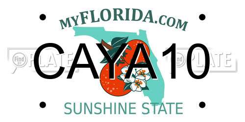 CAYA10 Florida License Plate