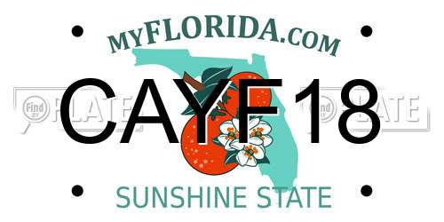 CAYF18 Florida License Plate