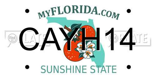 CAYH14 Florida License Plate