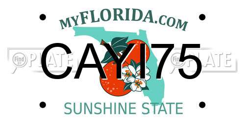 CAYI75 Florida License Plate