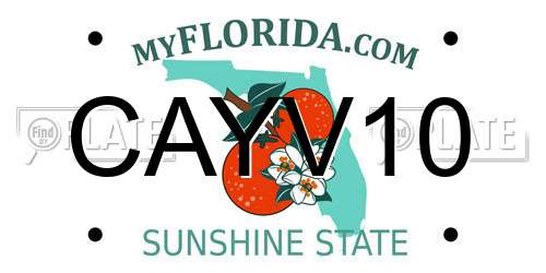 CAYV10 Florida License Plate