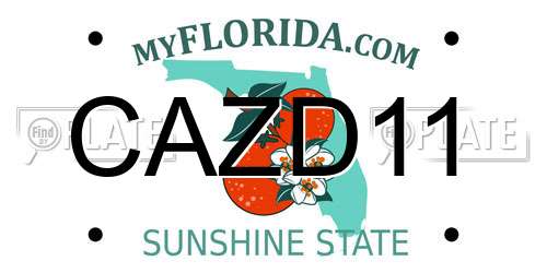 CAZD11 Florida License Plate