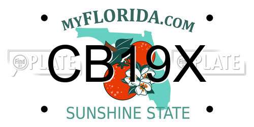 CB19X Florida License Plate