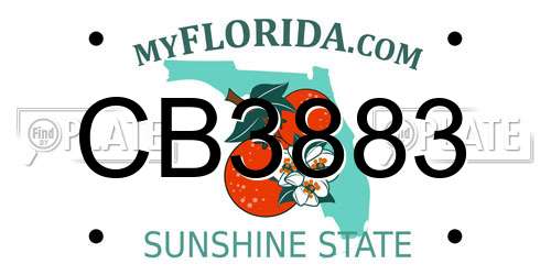 CB3883 Florida License Plate
