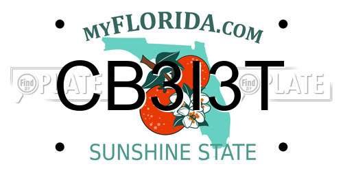 CB3I3T Florida License Plate