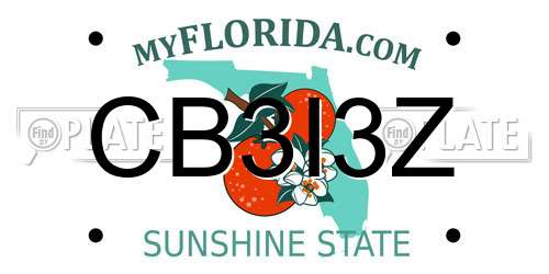 CB3I3Z Florida License Plate