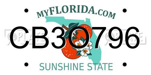 CB3O796 Florida License Plate