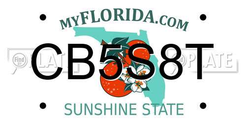 CB5S8T Florida License Plate