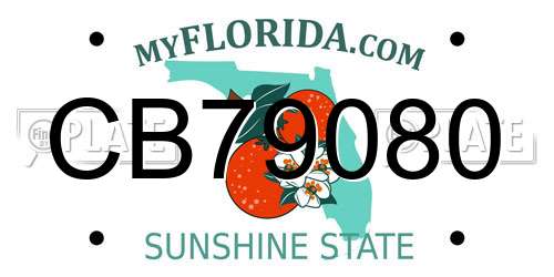 CB79080 Florida License Plate