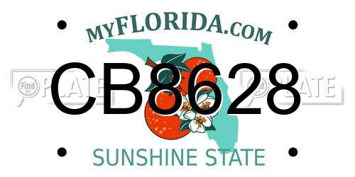 CB8628 Florida License Plate