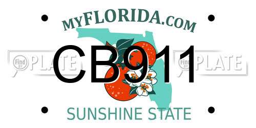CB911 Florida License Plate