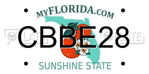 CBBE28 Florida License Plate