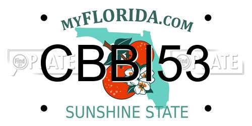 CBBI53 Florida License Plate