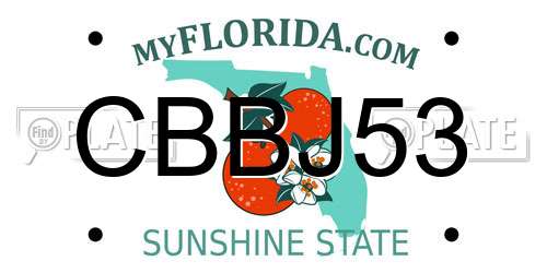 CBBJ53 Florida License Plate
